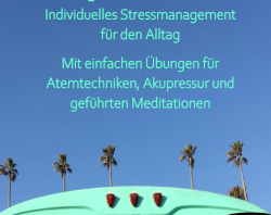 Vorbeugen statt Ausbrennen - Individuelles Stressmanagement für den Alltag